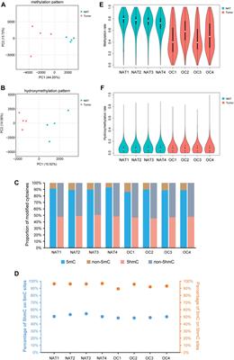 Unidirectional alteration of methylation and hydroxymethylation at the promoters and differential gene expression in oral squamous cell carcinoma